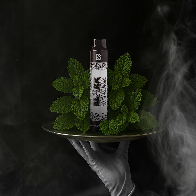 Mint Hookah Pen Hookah Pen Blakk Smoke On The Go™